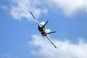 F/A-18 Hornet military aircraft in flight