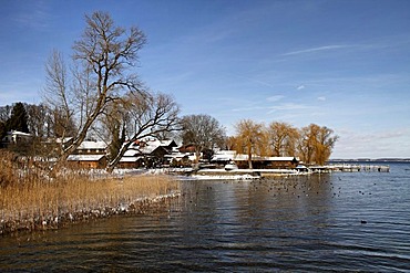 Fraueninsel island in winter, Lake Chiemsee, Chiemgau, Upper Bavaria, Germany, Europe