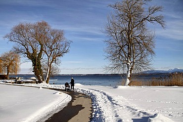 Woman with baby pram, push chair on the Fraueninsel island in winter, Lake Chiemsee, Chiemgau, Upper Bavaria, Germany, Europe