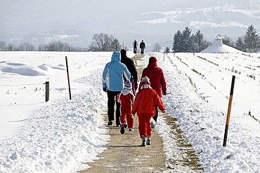 Family walking in a winter landscape, Chiemgau, Upper Bavaria, Germany, Europe