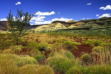 Australian outback landscape, Hamersley Ranges, Pilbara, Northwest Australia