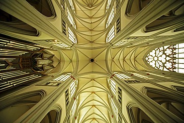 Ceiling of the Altenberger Dom or Bergischer Dom, Altenberg Cathedral, Altenberg, Odenthal, Rheinisch-Bergischer-Kreis district, North Rhine-Westphalia, Germany, Europe