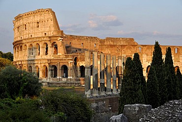 Colosseum, pillars of Temple of Venus and Roma, Roman Forum, Rome, Lazio, Italy, Europe