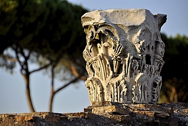 Pillar capitals, Domus Flavia, Palatine Hill, Rome, Lazio, Italy, Europe