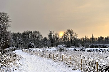 Snowy landscape, Cornmill Meadow, England, United Kingdom, Europe