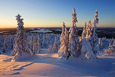 Winter landscape at Mt. Iivaara, Kuusamo region, Finland, Europe