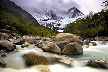 Mountain stream in front of theTorres del Paine mountains, Campamento Italiano, Patagonia, Chile, South America