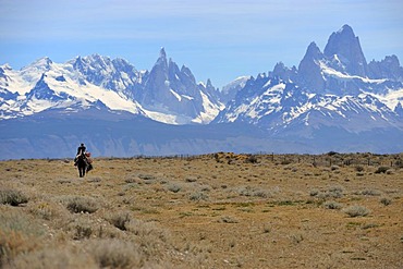 Mounted goucho in front the Andes with Mt. Fitz Roy and Mt. Cerro Torre, El Chalten, Andes, Patagonia, Argentina, South America