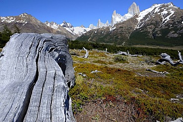 Peak of Mt. Fitzroy, El Chalten, Patagonia, Andes, Argentina, South America