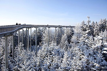 Adventure trail Waldwipfelweg in the snow-covered winter landscape in the Bavarian Forest near St. Englmar, Bavaria, Germany, Europe