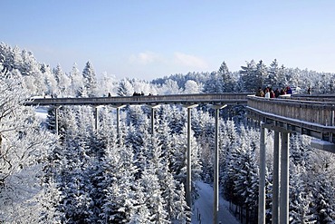 Adventure trail Waldwipfelweg in the snow-covered winter landscape in the Bavarian Forest near St. Englmar, Bavaria, Germany, Europe