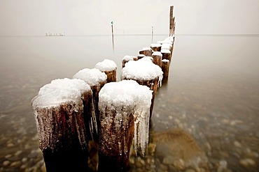 Wave-breaker on the wintry shore of Lake Constance near Guettingen, Switzerland, Europe