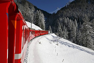 View from a train onto a snowy winter landscape, Rhaetian Railway, Grisons, Switzerland, Europe