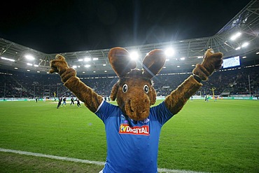 Hoffi, mascot of the Bundesliga soccer team TSG 1899 Hoffenheim in the Rhein-Neckar-Arena, Sinsheim, Baden-Wuerttemberg, Germany, Europe