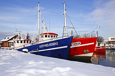 Fishing boats for deep water fishing in the harbour of Heiligenhafen in winter on the Baltic Sea coast, Kreis Ostholstein district, Schleswig-Holstein, Germany, Europe