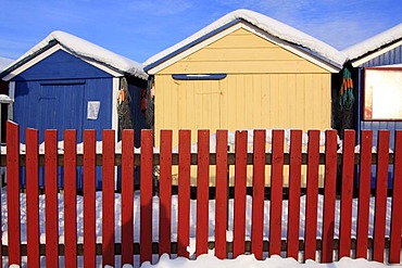 Colourful wooden fishing sheds in the harbour of Heiligenhafen in winter on the Baltic Sea coast, Kreis Ostholstein district, Schleswig-Holstein, Germany, Europe