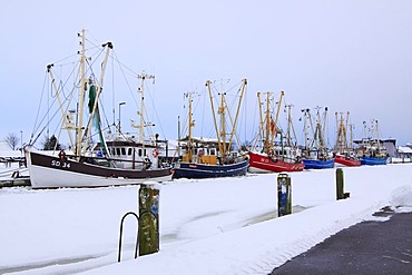 Fishing boats in the frozen harbour of Friedrichskoog on the North Sea coast in winter, Dithmarschen district, Schleswig-Holstein, Germany, Europe