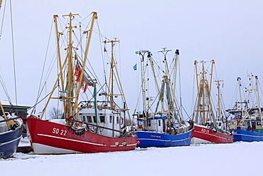 Fishing boats in the frozen harbour of Friedrichskoog on the North Sea coast in winter, Dithmarschen district, Schleswig-Holstein, Germany, Europe