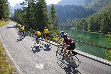 Cyclists on the Albula Pass, Lai da Palpuogna lake at Preda, Grisons, Switzerland, Europe