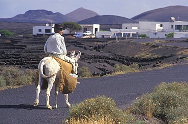 Farmer, old man, riding a donkey, Lanzarote, Canary Islands, Spain, Europe