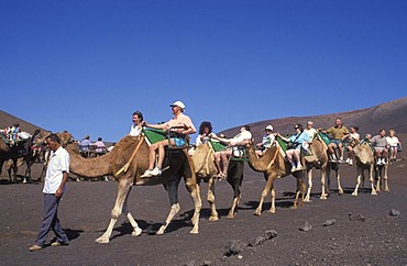 Camel ride, camel caravan in the Timanfaya National Park, tourists, volcanoes, lava, Lanzarote, Canary Islands, Spain, Europe