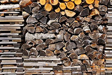 Stack of wood with birch and beech wood