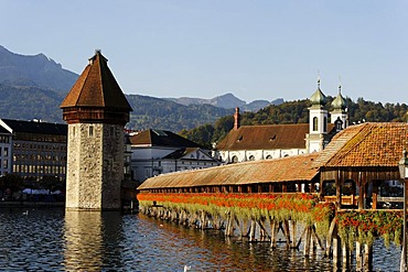 Kapellbruecke chapel bridge and Wasserturm water tower in front of the Jesuit church, Lucerne, Canton of Lucerne, Switzerland, Europe