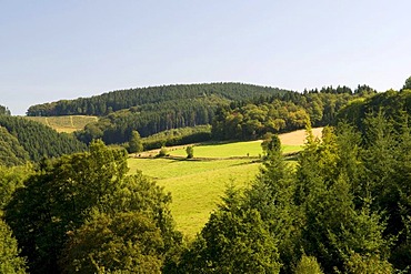 View from Fuerwiggetalsperre, Fuerwigge Dam, over Ebbegebirge Nature Park, Sauerland, North Rhine-Westphalia, Germany, Europe