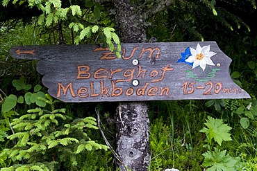 Signpost on the Parpfienzweg path in Brandnertal Valley, Vorarlberg, Austria, Europe