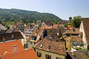 View of the Oberstadt district, Bregenz, Lake Constance, Vorarlberg, Austria, Europe