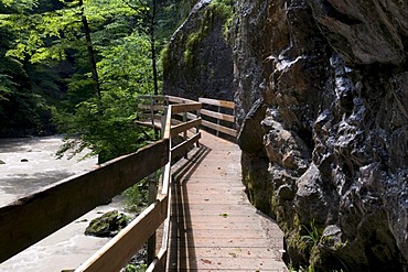 Wooden boardwalk through the Rappenlochschlucht gorge near Guetle, Dornbirn, Vorarlberg, Austria, Europe