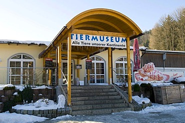 Tiermuseum animal museum Regenhuette, Bayerisch Eisenstein district, Bavarian Forest, Bavaria, Germany, Europe