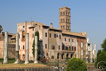 Church of Santa Francesca Romana and the Temple of Venus and Roma in the Forum Romanum, Rome, Italy, Europe