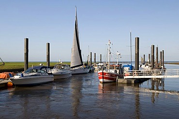 Altenbruch harbor at Elbe river near Cuxhaven, Lower Saxony, Germany, Europe