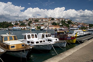 Port and historic town, town of marble, Vrsar, Istria, Croatia, Europe