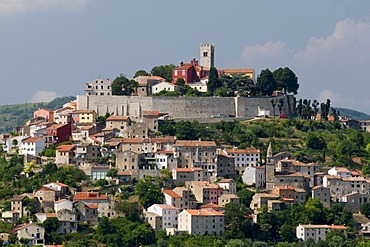 Mountain village of Motovun, Mirna valley, Istria, Croatia, Europe