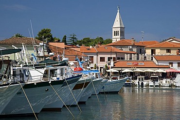 Port and cityscape, Novigrad, Istria, Croatia, Europe