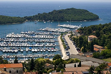 Vrsar port on the Adriatic coast, Istria, Croatia, Europe