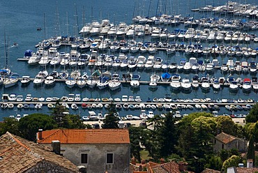 Vrsar port on the Adriatic coast, Istria, Croatia, Europe