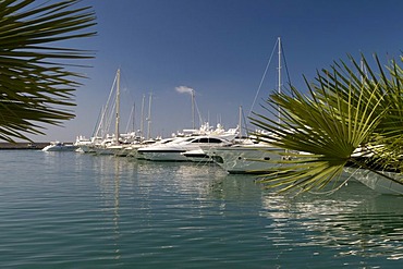 Marina, San Remo, Riviera, Liguria, Italy, Europe