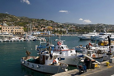 Boats in the port of San Remo, Riviera, Liguria, Italy, Europe