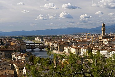 City panorama with Palazzo Vecchio town hall, view from Mount all Croci, Florence, Tuscany, Italy, Europe