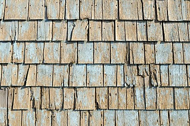 Weathered shingles on a house at Ile du Cap aux Meules, Iles de la Madeleine, Magdalen Islands, Quebec Maritime, Canada, North America