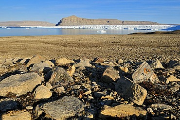 Arctic tundra and glacier at Crocker Bay, Devon Island, Northwest Passage, Nunavut, Canada, Arctic