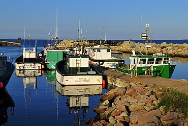 Fishing boat in the harbour of Grosse Ile, Iles de la Madeleine, Magdalen Islands, Quebec Maritime, Canada, North America