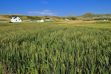 Farmhouse on the treeless meadows of Ile D'Entree, Entry Island, Iles de la Madeleine, Magdalen Islands, Quebec Maritime, Canada, North America