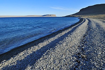 Beach at Erebus and Terror Bay, Devon, Beechey Island, Northwest Passage, Nunavut, Canada, Arctic