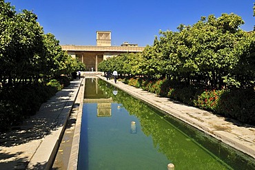 Garden in the interior of the Citadelle of Karim Khan, Shiraz, Fars, Persia, Iran, Asia