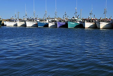 Fishingboat in the harbour of L'Etang du Nord, Ile du Cap aux Meules, Iles de la Madeleine, Magdalen Islands, Quebec Maritime, Canada, North America