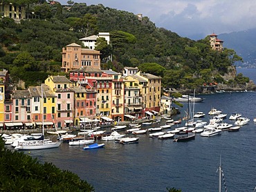 View of Portofino, harbor, Riviera, Liguria, Italy, Europe